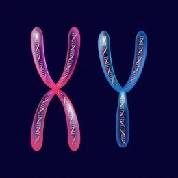 13. Superciaf_X Y
